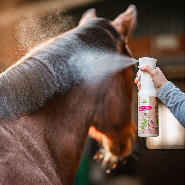 Bense & Eicke Natural Finish 500 ml Schweif- & Mähnenspray | Pferdepflege