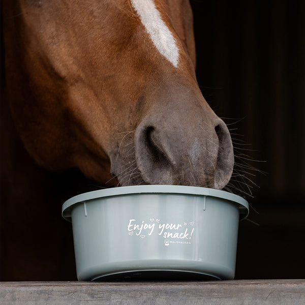 Leckerli-Schale mit Deckel "Enjoy your snack" in Mistel | Fütterung, Pferd