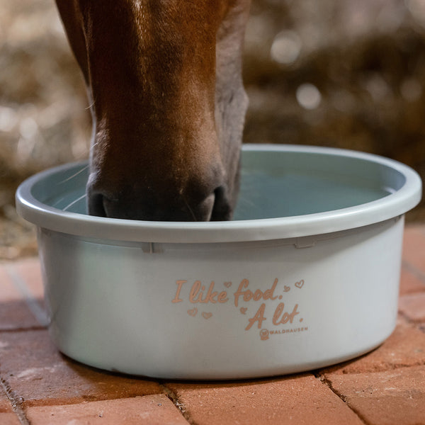 XL Futter-Schale mit Deckel "I like food. A lot." in Türkis | Fütterung, Pferd