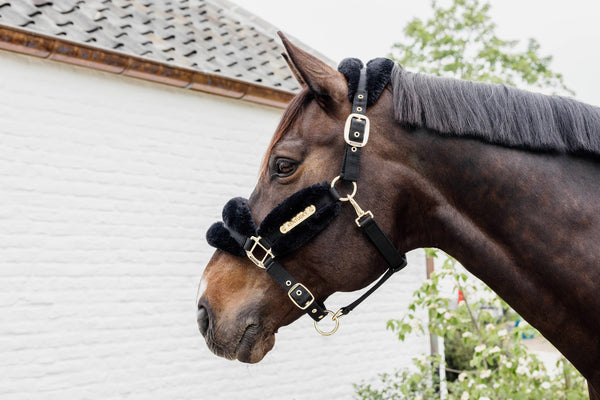 Kentucky Horsewear Nylon Kunstfell Sheepskin Halfter Soft Schwarz | mit GRAVUR