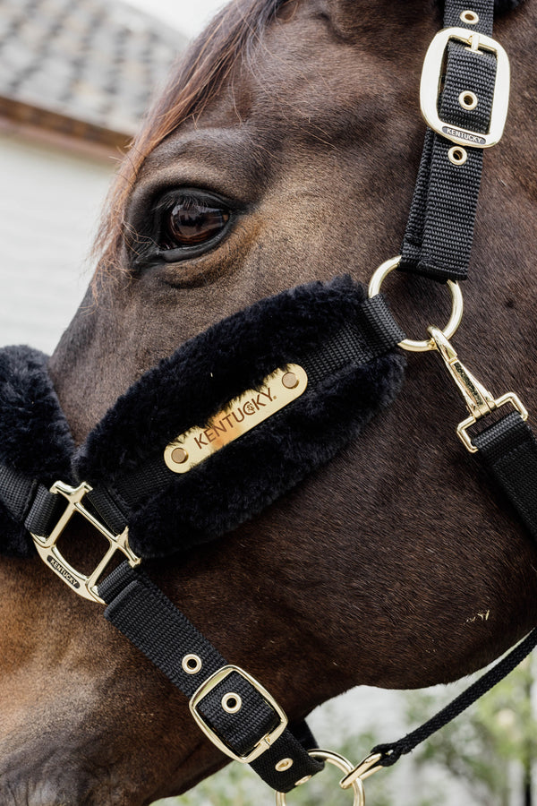 Kentucky Horsewear Nylon Kunstfell Sheepskin Halfter Soft Schwarz | mit GRAVUR