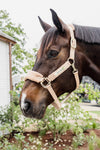 Kentucky Halfter mit Gravur | Teddy Fleece Halfter Beige | Kentucky Horsewear