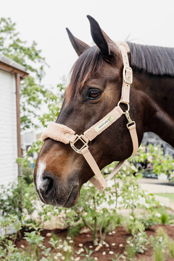 Kentucky Halfter mit Gravur | Teddy Fleece Halfter Beige | Kentucky Horsewear