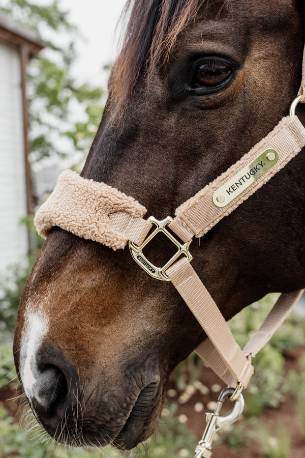 Kentucky Halfter mit Gravur | Teddy Fleece Halfter Beige | Kentucky Horsewear