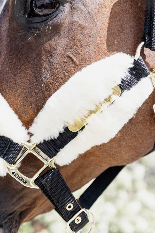 Kentucky Horsewear Nylon Kunstfell Sheepskin Halfter Soft | mit GRAVUR