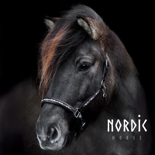 Lederhalfter Colour Mix Pink | Farbe: Schwarz | Nordic Horse | Islandpferd