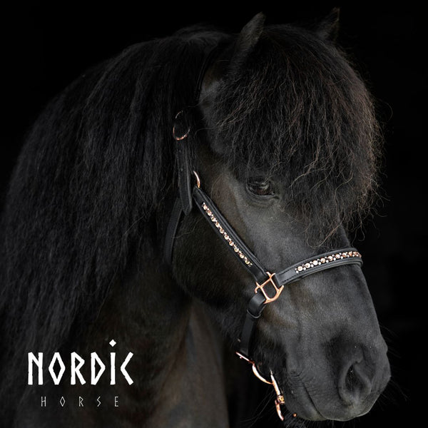 Lederhalfter All Roségold | Farbe: Schwarz | Nordic Horse | Islandpferd