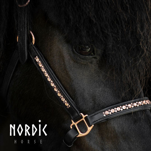 Lederhalfter All Roségold | Farbe: Schwarz | Nordic Horse | Islandpferd