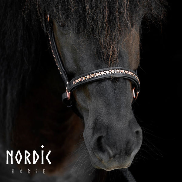 Lederhalfter All Roségold | Farbe: Schwarz | Nordic Horse | Islandpferd