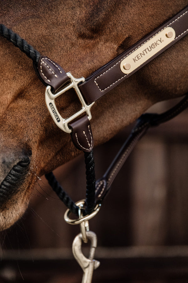 Kentucky Halfter mit Gravur | Leder Halfter Rope | Kentucky Horsewear