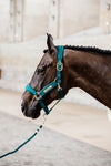 Kentucky Halfter mit Gravur | Velvet Halfter Emerald | Kentucky Horsewear