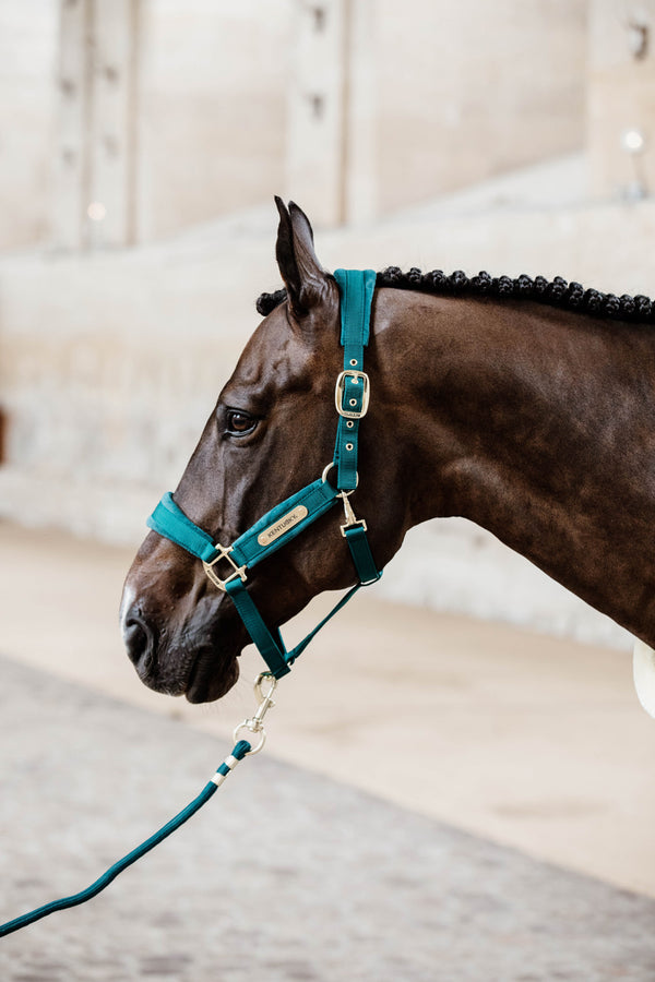 Kentucky Halfter mit Gravur | Velvet Halfter Emerald | Kentucky Horsewear