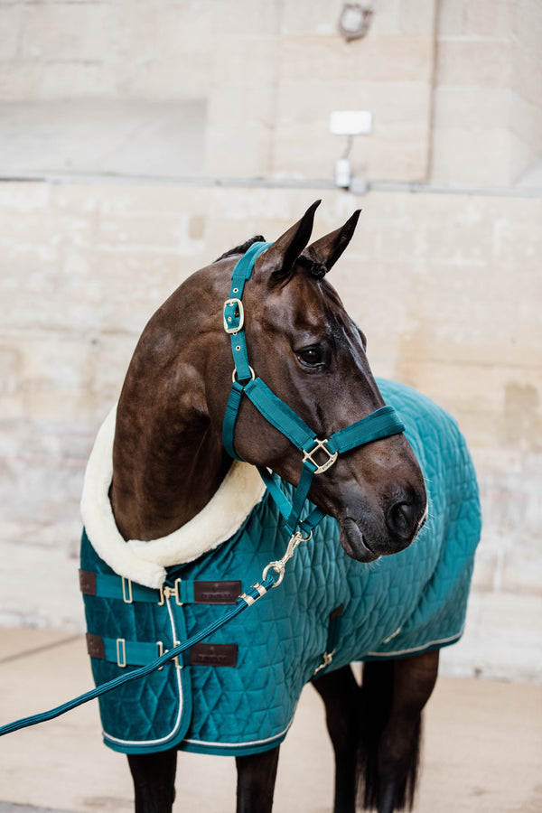 Kentucky Halfter mit Gravur | Velvet Halfter Emerald | Kentucky Horsewear