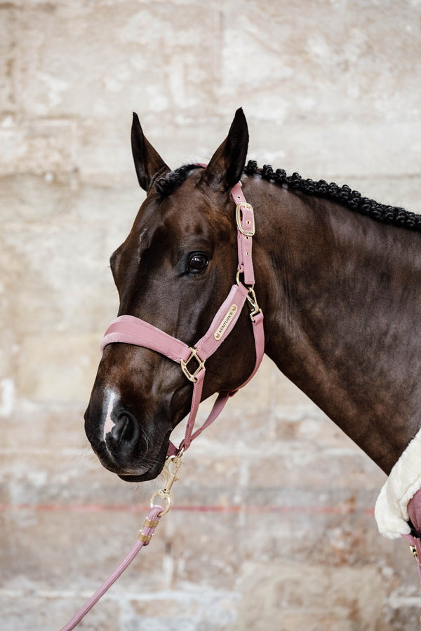Kentucky Halfter mit Gravur | Velvet Halfter Old Rose | Kentucky Horsewear