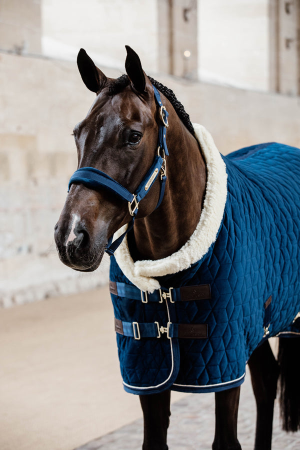 Kentucky Halfter mit Gravur | Velvet Halfter Navy | Kentucky Horsewear
