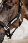Kentucky Halfter mit Gravur | Velvet Halfter Schwarz | Kentucky Horsewear