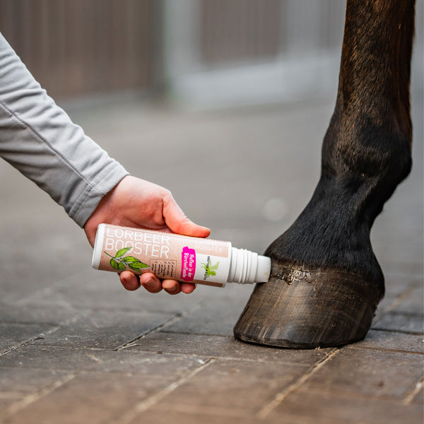 Bense & Eicke LorbeerBooster i. d. Bürstenflasche 200 ml Hufpflege | Pferdepflege