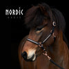 Lederhalfter All Roségold | Farbe: Schwarz | Nordic Horse | Islandpferd