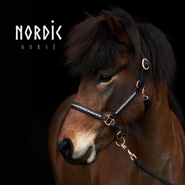 Lederhalfter All Roségold | Farbe: Schwarz | Nordic Horse | Islandpferd