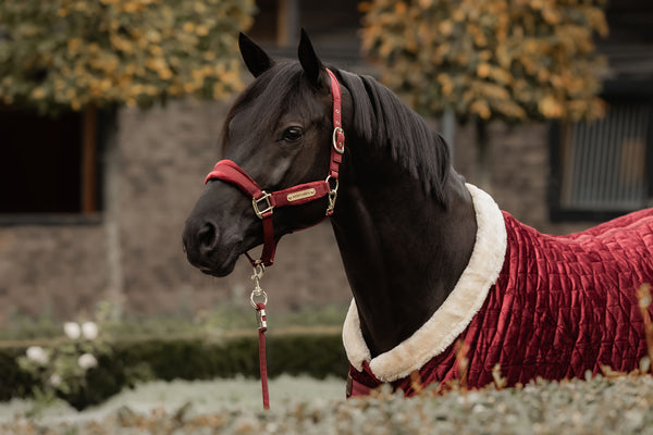 Kentucky Halfter mit Gravur | Velvet Halfter Bordeaux | Kentucky Horsewear