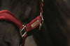 Kentucky Halfter mit Gravur | Velvet Halfter Bordeaux | Kentucky Horsewear