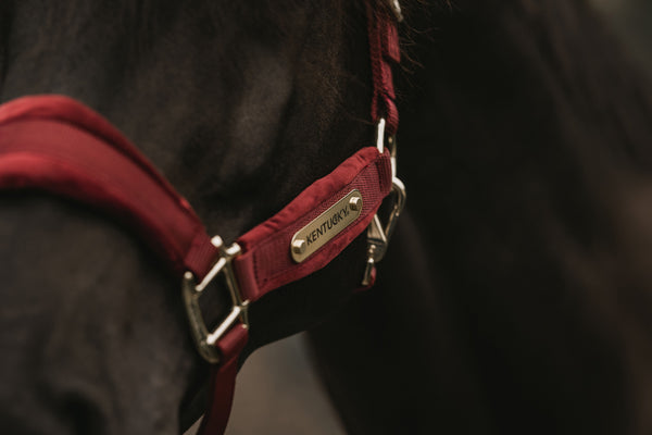 Kentucky Halfter mit Gravur | Velvet Halfter Bordeaux | Kentucky Horsewear