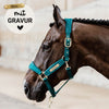 Kentucky Halfter mit Gravur | Velvet Halfter Emerald | Kentucky Horsewear