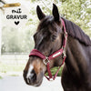 Kentucky Halfter mit Gravur | Velvet Halfter Bordeaux | Kentucky Horsewear