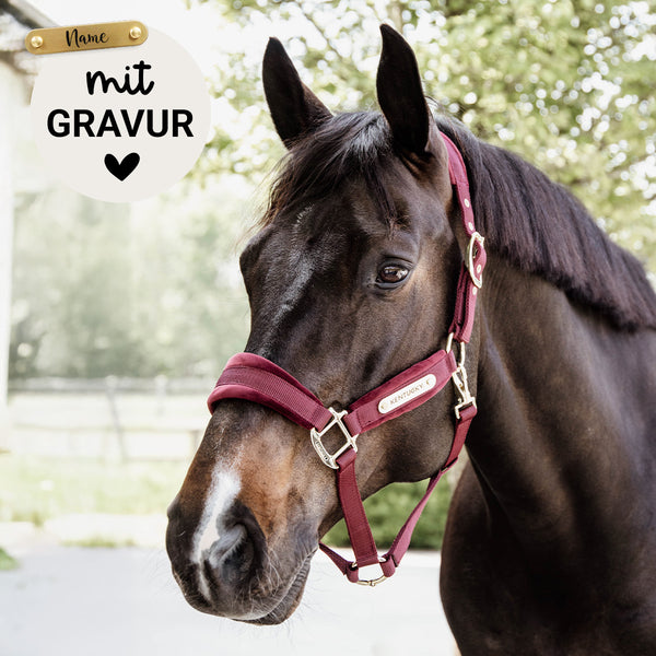 Kentucky Halfter mit Gravur | Velvet Halfter Bordeaux | Kentucky Horsewear
