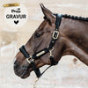 Kentucky Halfter mit Gravur | Velvet Halfter Schwarz | Kentucky Horsewear
