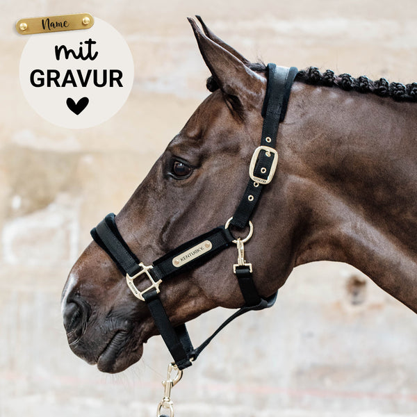 Kentucky Halfter mit Gravur | Velvet Halfter Schwarz | Kentucky Horsewear