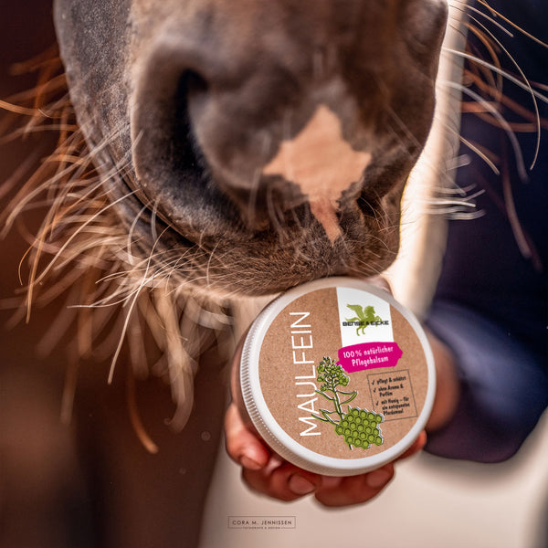 Bense & Eicke MaulFein 100ml | Pferdepflege