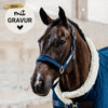Kentucky Halfter mit Gravur | Velvet Halfter Navy | Kentucky Horsewear