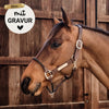 Kentucky Halfter mit Gravur | Leder Halfter Rope | Kentucky Horsewear