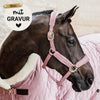 Kentucky Halfter mit Gravur | Velvet Halfter Old Rose | Kentucky Horsewear