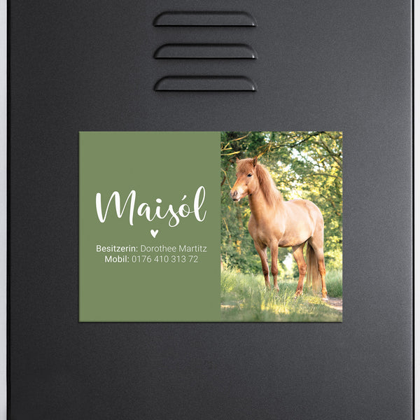 Spindschild magnetisch mit Foto | für den Sattelschank | Pferd, Islandpferd, Pony