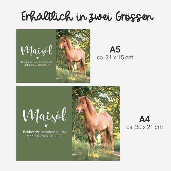 Spindschild magnetisch mit Foto | für den Sattelschank | Pferd, Islandpferd, Pony