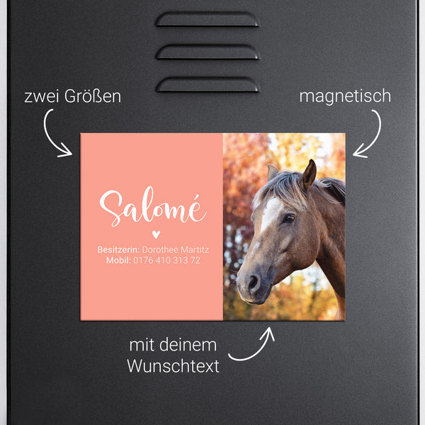 Spindschild magnetisch mit Foto | für den Sattelschank | Pferd, Islandpferd, Pony