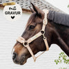 Kentucky Halfter mit Gravur | Teddy Fleece Halfter Beige | Kentucky Horsewear