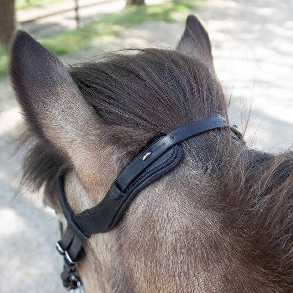 Island Trensenzaum Anatomic in Schwarz | Islandpferd