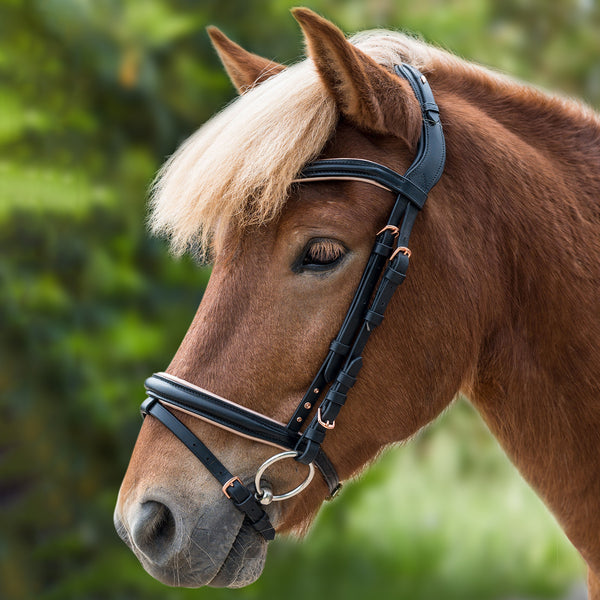 Island Trensenzaum Roségold | Islandpferd