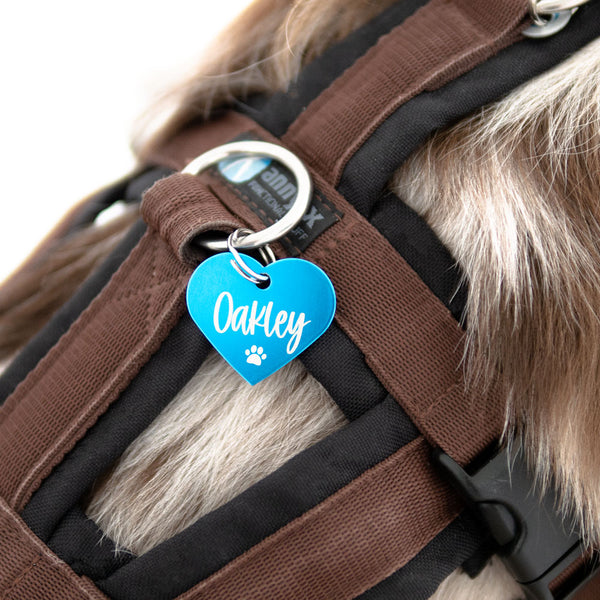 Halsband Anhänger Herz "Wunschwort + Pfote" | personalisiert | sieben Farben | Geschenk, Geschenkidee, Glücksbringer, Hund