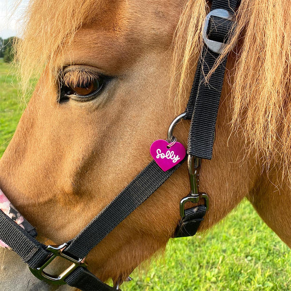 Halfter Anhänger Herz "Wunschwort" | personalisiert | 10 Farben | Geschenk, Geschenkidee, Glücksbringer