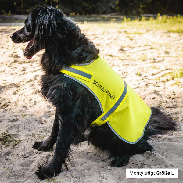 Warnweste Hund mit Name & Wunschtext personalisiert | Sicherheit | 3 Größen