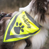 Halstuch Neon Reflektierend Hund mit Name personalisiert | Sicherheit