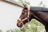 Kentucky Halfter mit Gravur | Teddy Fleece Halfter Old Rose | Kentucky Horsewear