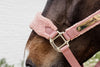 Kentucky Halfter mit Gravur | Teddy Fleece Halfter Old Rose | Kentucky Horsewear