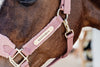Kentucky Halfter mit Gravur | Teddy Fleece Halfter Old Rose | Kentucky Horsewear