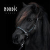 Lederhalfter Colour Mix Türkis | Farbe: Schwarz | Nordic Horse | Islandpferd