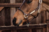 Kentucky Halfter mit Gravur | Leder Halfter Rope | Kentucky Horsewear